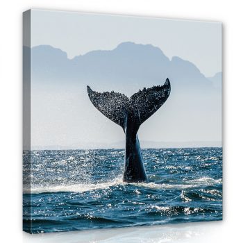 Delfin ugrás közben, vászonkép 40x40 cm méretben