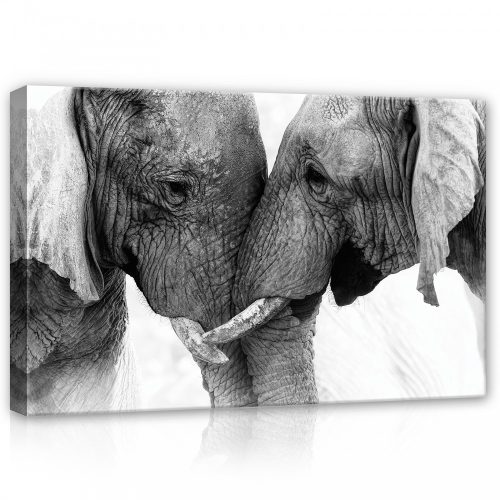 Elefántok, vászonkép, 60x40 cm méretben