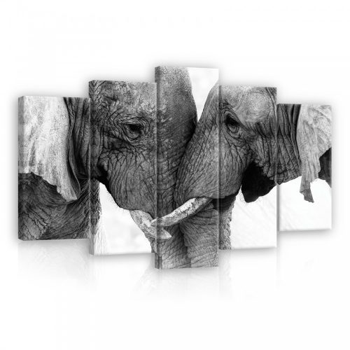 Vászonkép 5 darabos, Elefántok szeretik egymást 100x60 cm méretben
