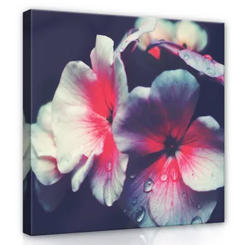 Virág, vászonkép, 40x40 cm méretben