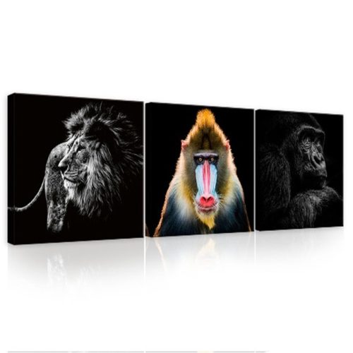 Vászonkép 3 darabos, Majmok és oroszlán, 3 db 25x25 cm méret