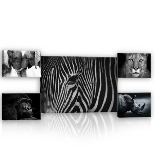 Vászonkép, 5 darabos Állatok fekete-fehérben variálható elrendezésben