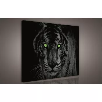 Tigris, 3 darabos vászonkép, 90x80 cm méretben