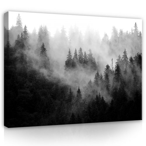 Vászonkép, Ködös erdő, 100x75 cm méretben