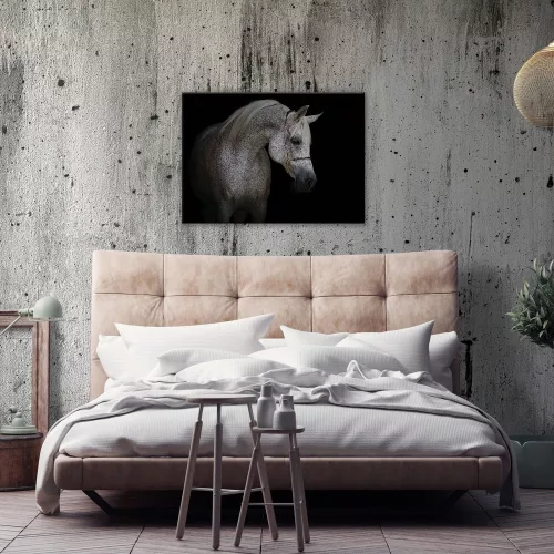 Ló, vászonkép, 70x50 cm méretben