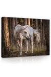 Vászonkép, Fehér ló az erdőben, 80x60 cm méretben