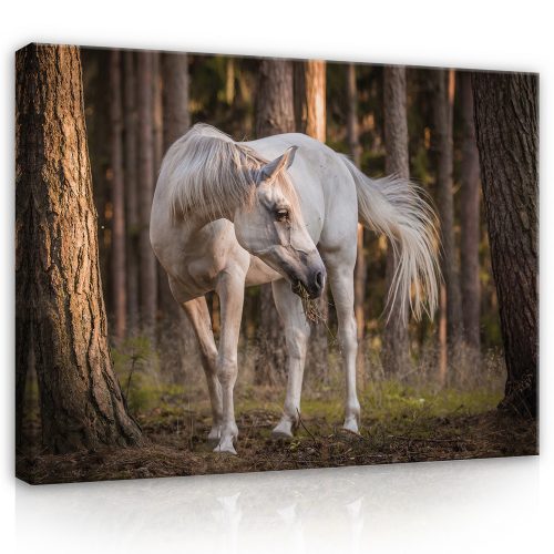 Vászonkép, Fehér ló az erdőben, 100x75 cm méretben
