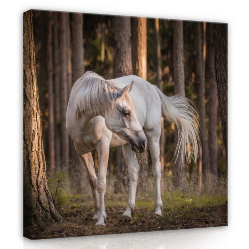 Ló az erdőben, vászonkép, 80x80 cm méretben