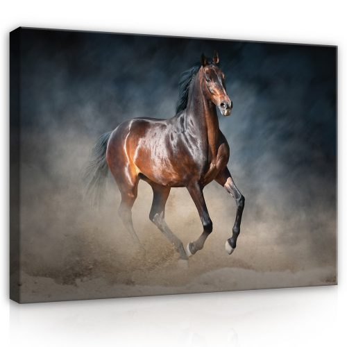 Vászonkép, Vágtázó ló, 100x75 cm méretben