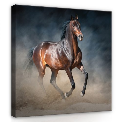 Vágtató ló a ködben, vászonkép, 80x80 cm méretben