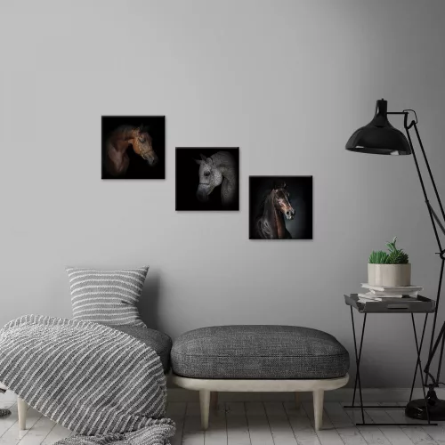 Vászonkép 3 darabos, Lovak, 3 db 25x25 cm méret