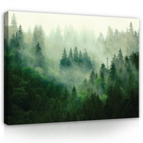 Vászonkép, Ködös erdő, 80x60 cm méretben