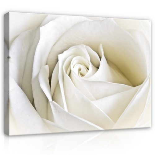 Vászonkép, Rózsa, 100x75 cm méretben