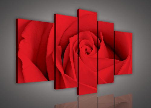 Vászonkép, 5 darabos, Vörös rózsa 170x100 cm méretben