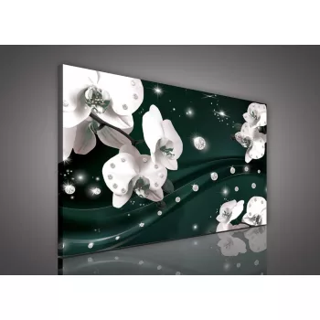 Vászonkép, Orchidea zöldes háttéren, 60x40 cm méretben