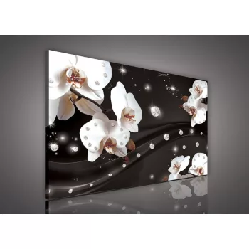 Vászonkép, Orchidea sötét háttéren, 60x40 cm méretben