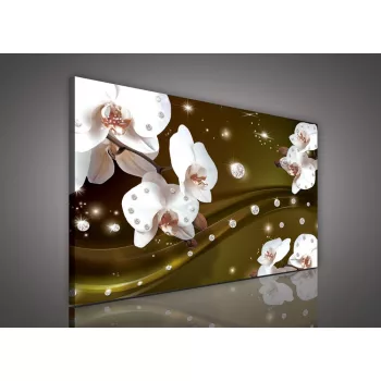   Vászonkép, Orchidea sárgás háttéren, 60x40 cm méretben