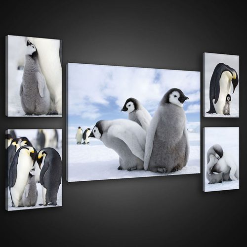 Vászonkép, 5 darabos Pingvinek variálható elrendezésben