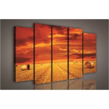 Vászonkép, 5 darabos Szalmabálák 150x100 cm méretben