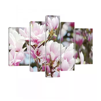 Vászonkép, 5 darabos, Magnóliák 170x100 cm méretben