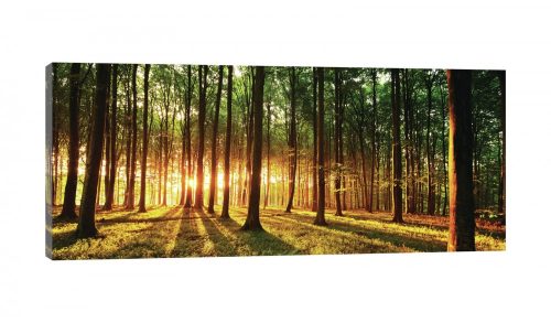 Erdő a naplementében, vászonkép, 145x45 cm méretben