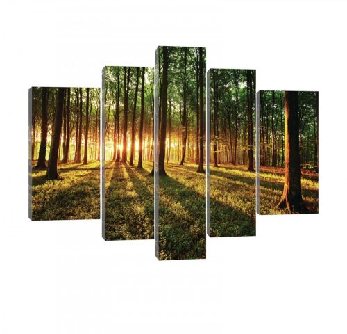 Vászonkép, 5 darabos, Erdő a naplementében 170x100 cm méretben