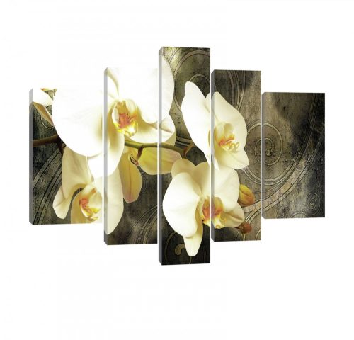 Vászonkép, 5 darabos, Orchideák 170x100 cm méretben