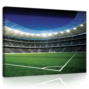 Vászonkép, Stadion, 60x40 cm méretben