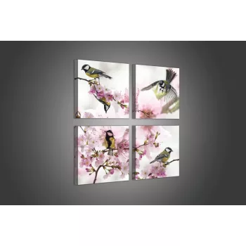 Vászonkép 4 darabos, Madarak 50x50 cm méretben