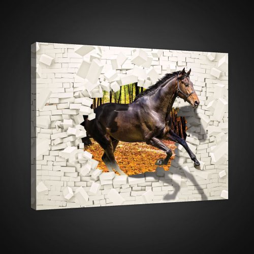 Vászonkép, Ló a falon keresztül, 100x75 cm méretben