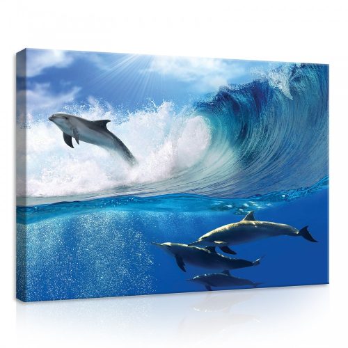 Delfinek, vászonkép, 70x50 cm méretben