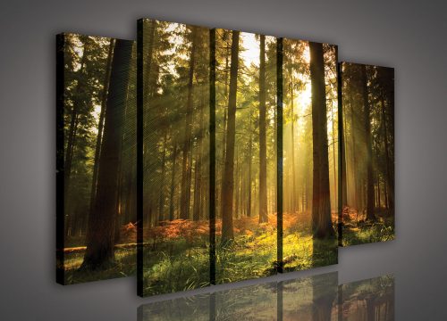 Vászonkép, 5 darabos Napsütéses erdő 150x100 cm méretben