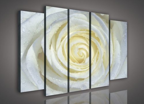 Vászonkép, 5 darabos Fehér rózsa 150x100 cm méretben
