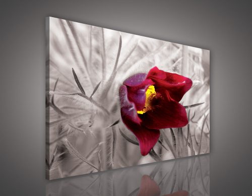 Vászonkép, Tulipan, 100x75 cm méretben
