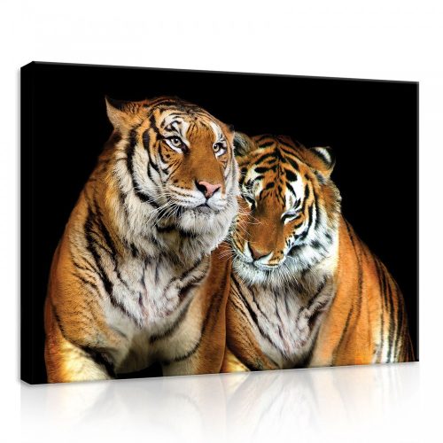 Tigrisek, vászonkép, 70x50 cm méretben