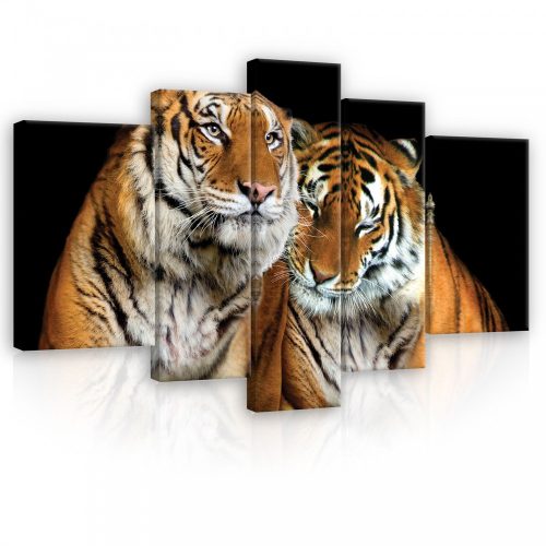 Vászonkép, 5 darabos, Tigrisek 170x100 cm méretben