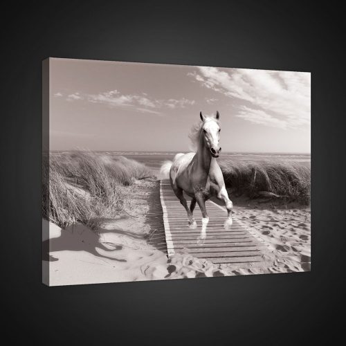 Vászonkép, Ló a tengerparton, 100x75 cm méretben