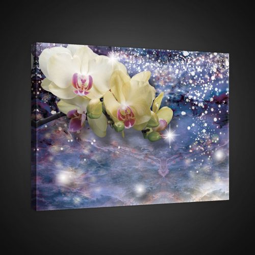 Vászonkép,  Orchideák 80x60 cm méretben