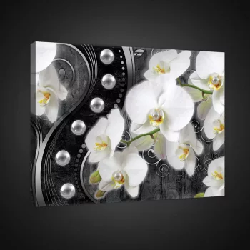   Vászonkép, Orchidea gyöngyös háttérrel, 60x40 cm méretben