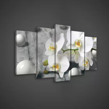  Vászonkép 5 darabos, Orchidea gömbökkel 100x60 cm méretben