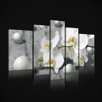   Vászonkép, 5 darabos, Orchidea gömbökkel 170x100 cm méretben