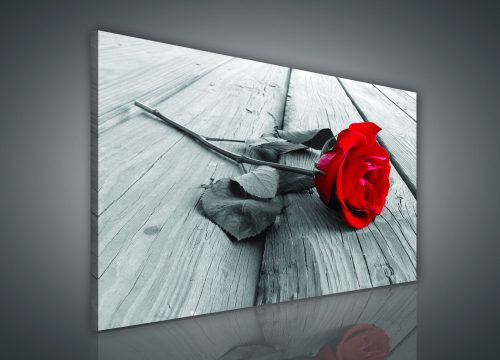 Vászonkép, Vörös rózsa, 100x75 cm méretben