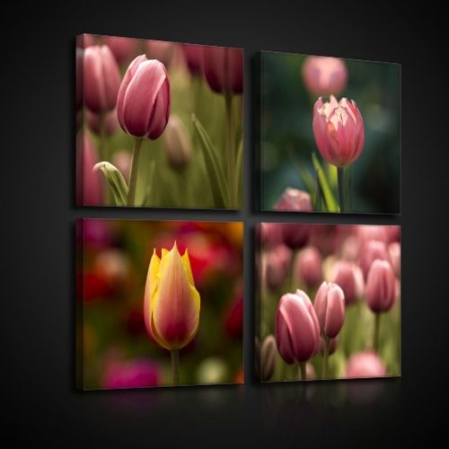 Vászonkép 4 darabos, Tulipán 50x50 cm méretben