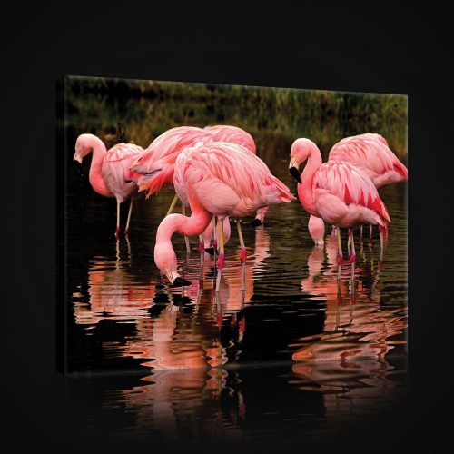 Vászonkép, Flamingók, 100x75 cm méretben