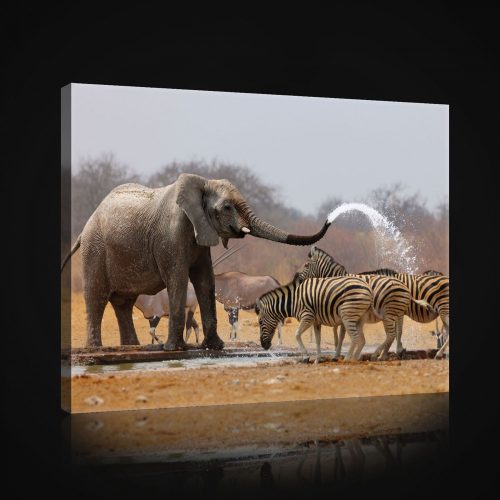 Vászonkép, Elefántok, 60x40 cm méretben