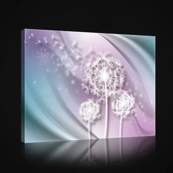 Vászonkép, Pitypang motívum 80x60 cm méretben