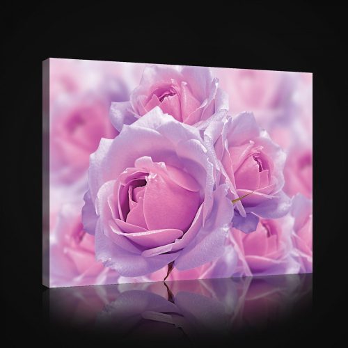 Vászonkép, Rózsa, 100x75 cm méretben