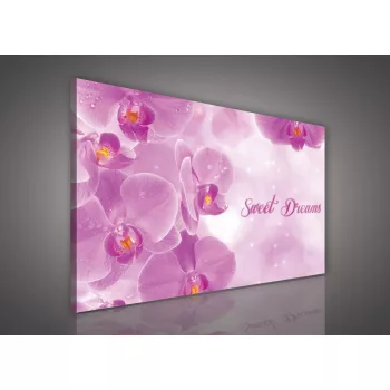 Vászonkép, Sweet Dreams Orchidea 60x40 cm méretben