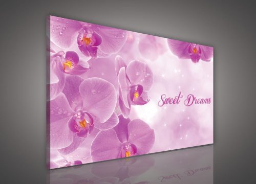 Vászonkép, Sweet Dreams Orchidea 60x40 cm méretben