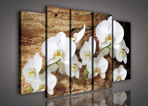 Vászonkép, 5 darabos Orchideák 150x100 cm méretben